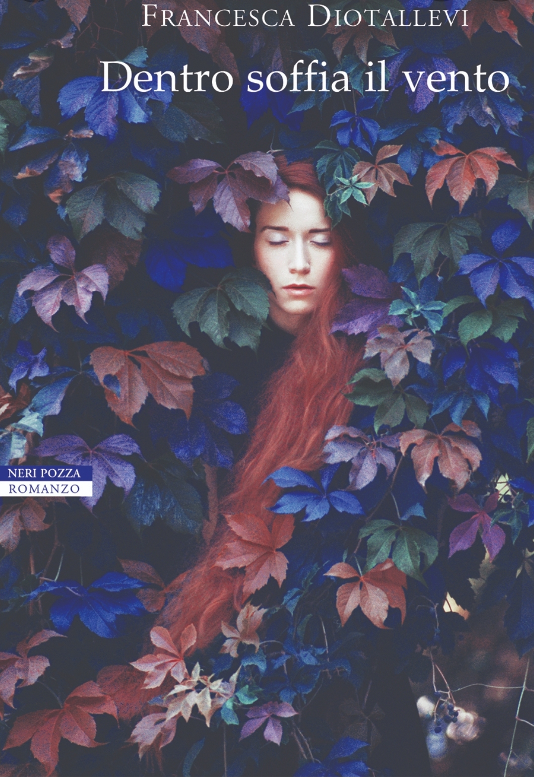 DENTRO SOFFIA IL VENTO – Francesca Diotallevi