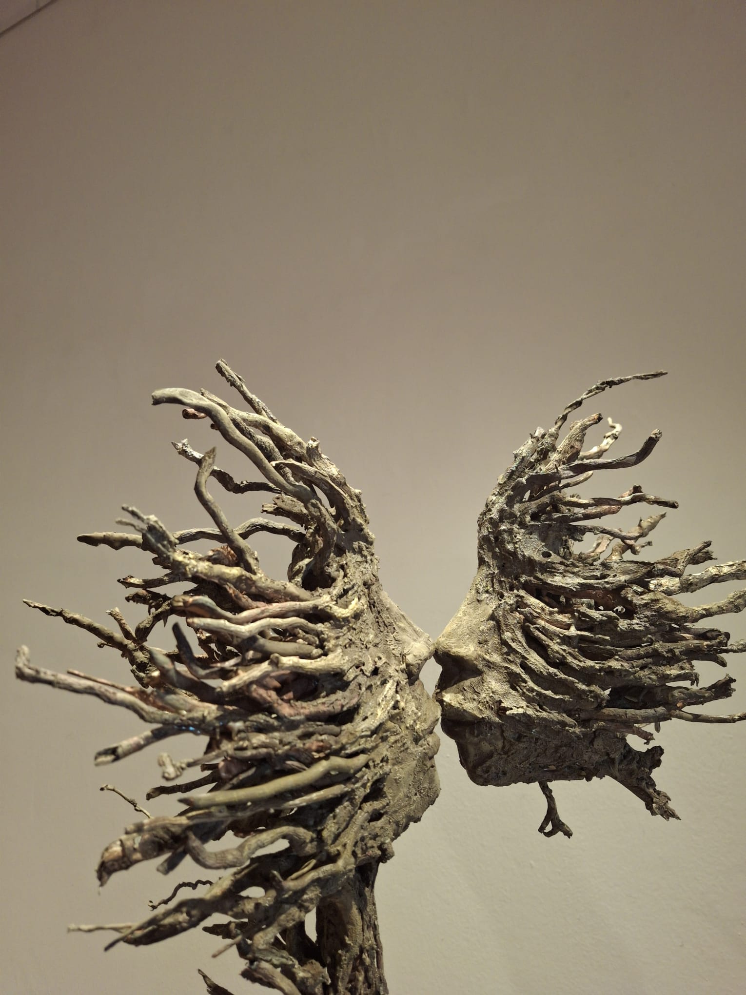 Mostra Humans di Alessandra Aita a Trieste